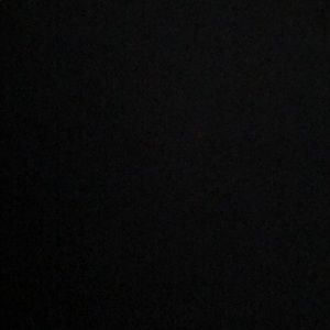 Meet your Posher, Ganga